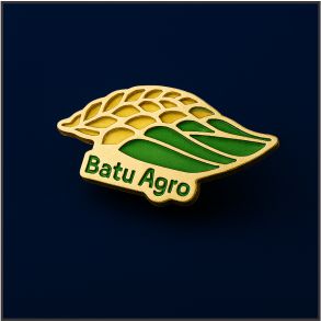 Портфолио 11